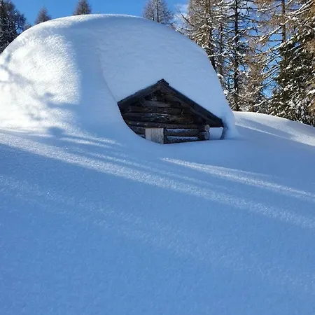 Enzian * Kartitsch